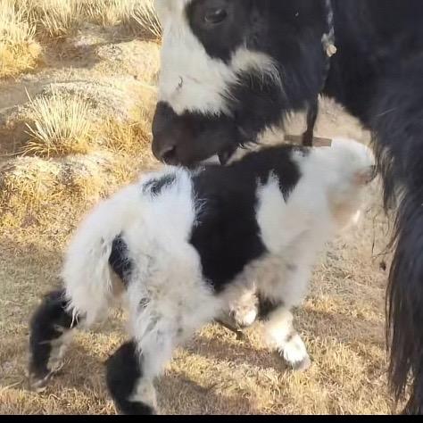 往事不可回～故人