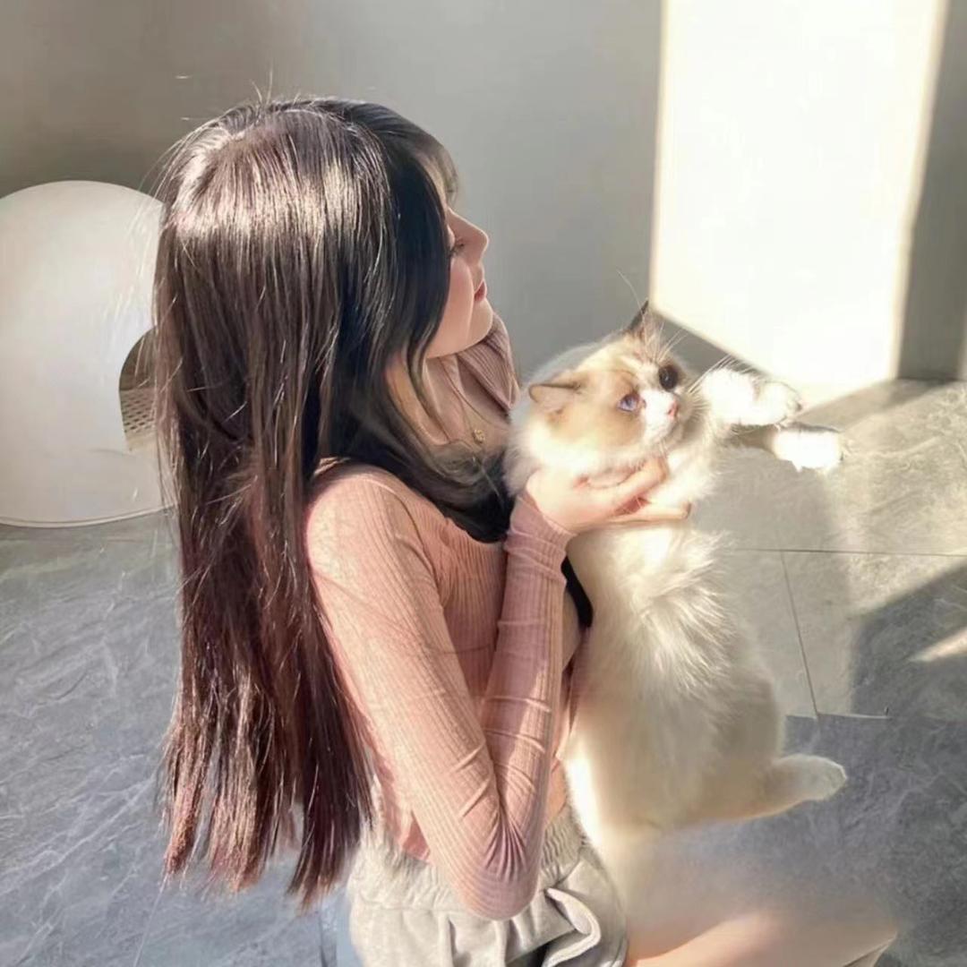 扬子v