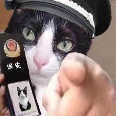 保安做饭日记