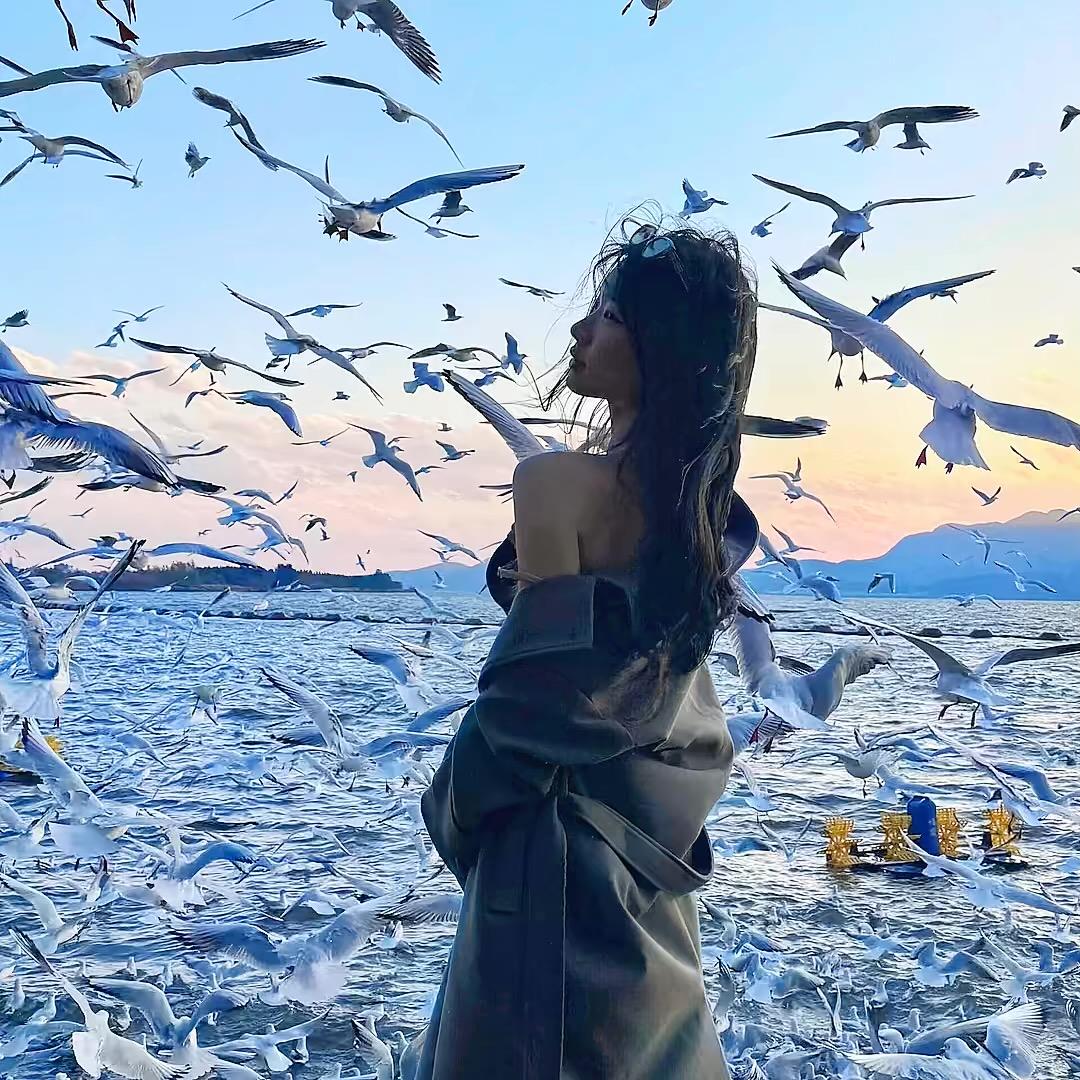 小飞魚.