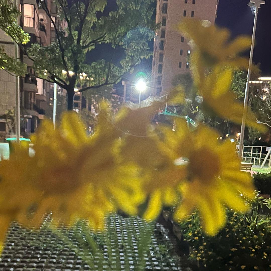 小古讲百草