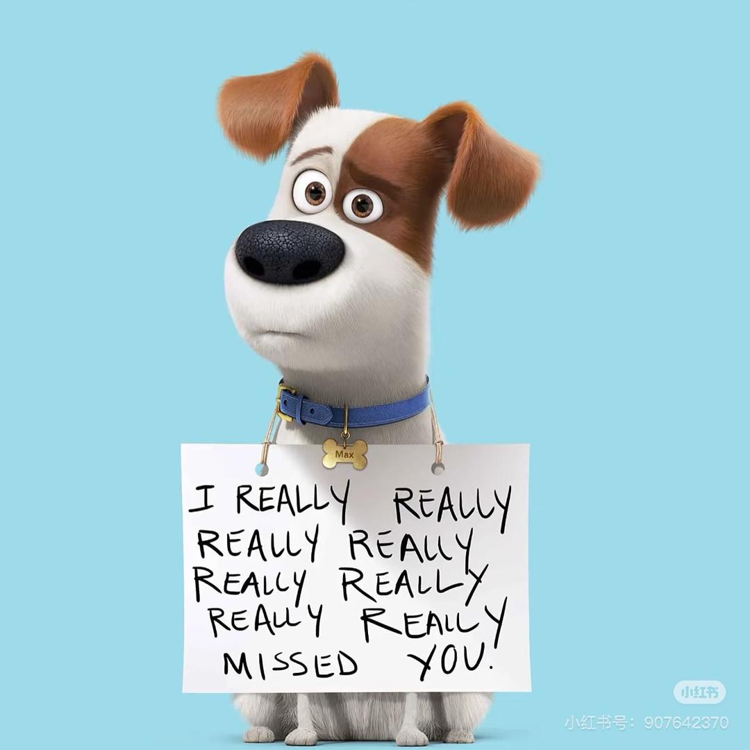 杰克不是土狗🐶