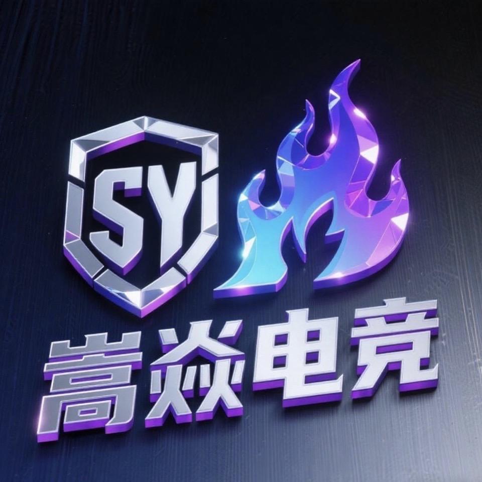 嵩焱电竞