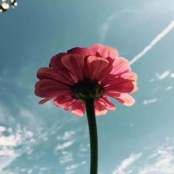 欧阳