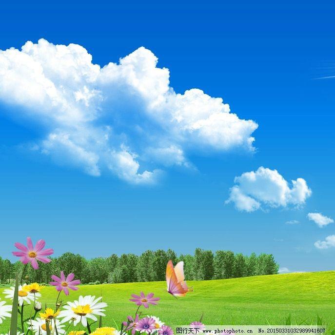 闲看花开花落