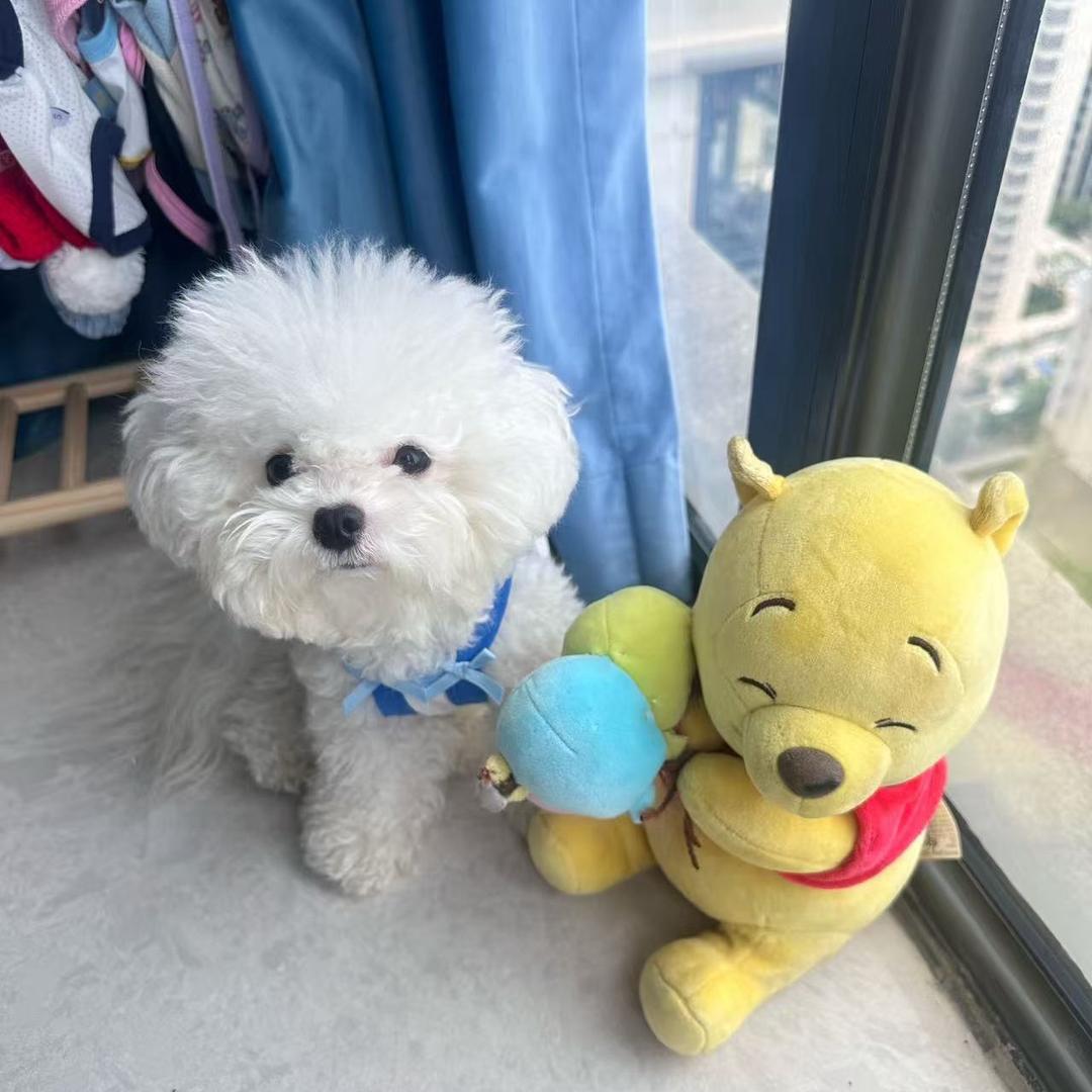 嗷.