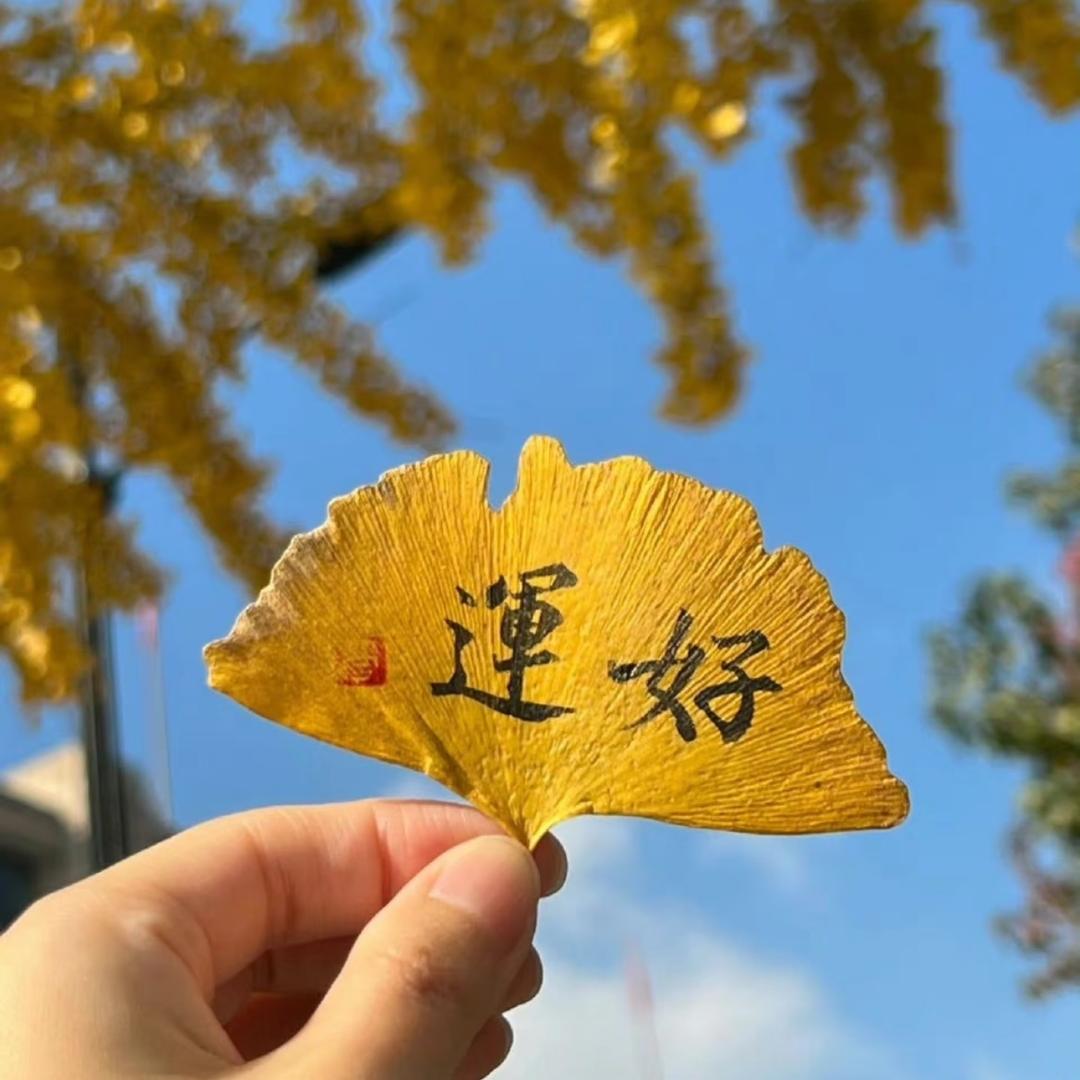 💞柿柿顺利💞