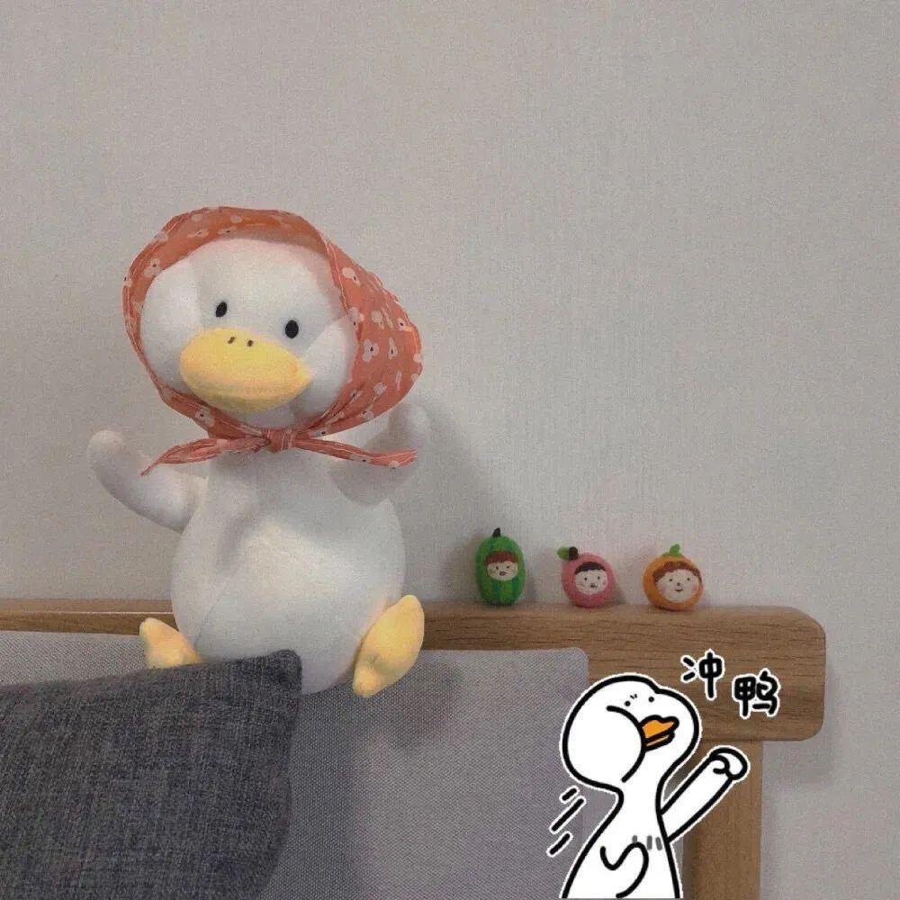 今朝喵喵叫