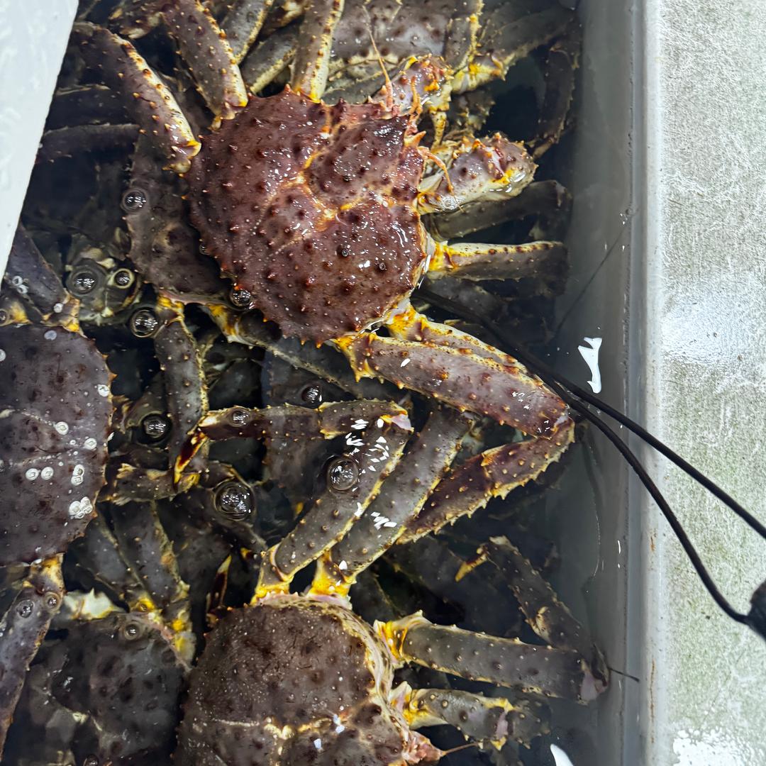 卖🐠，摆摆的小李娃