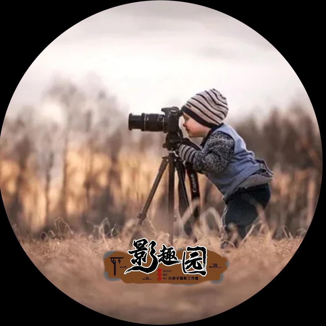 爱拍的小虾米