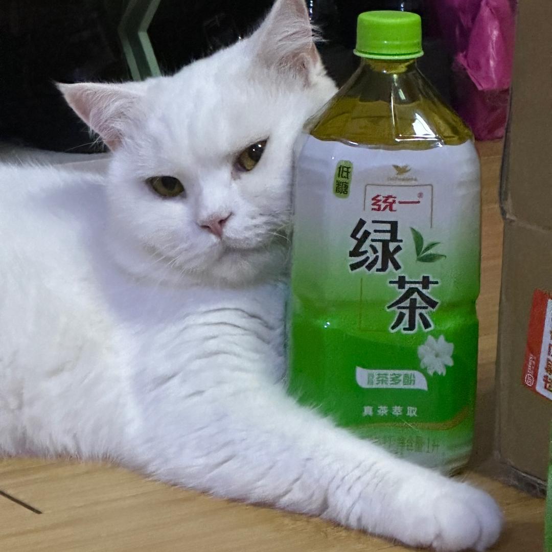 折耳根公主🌸