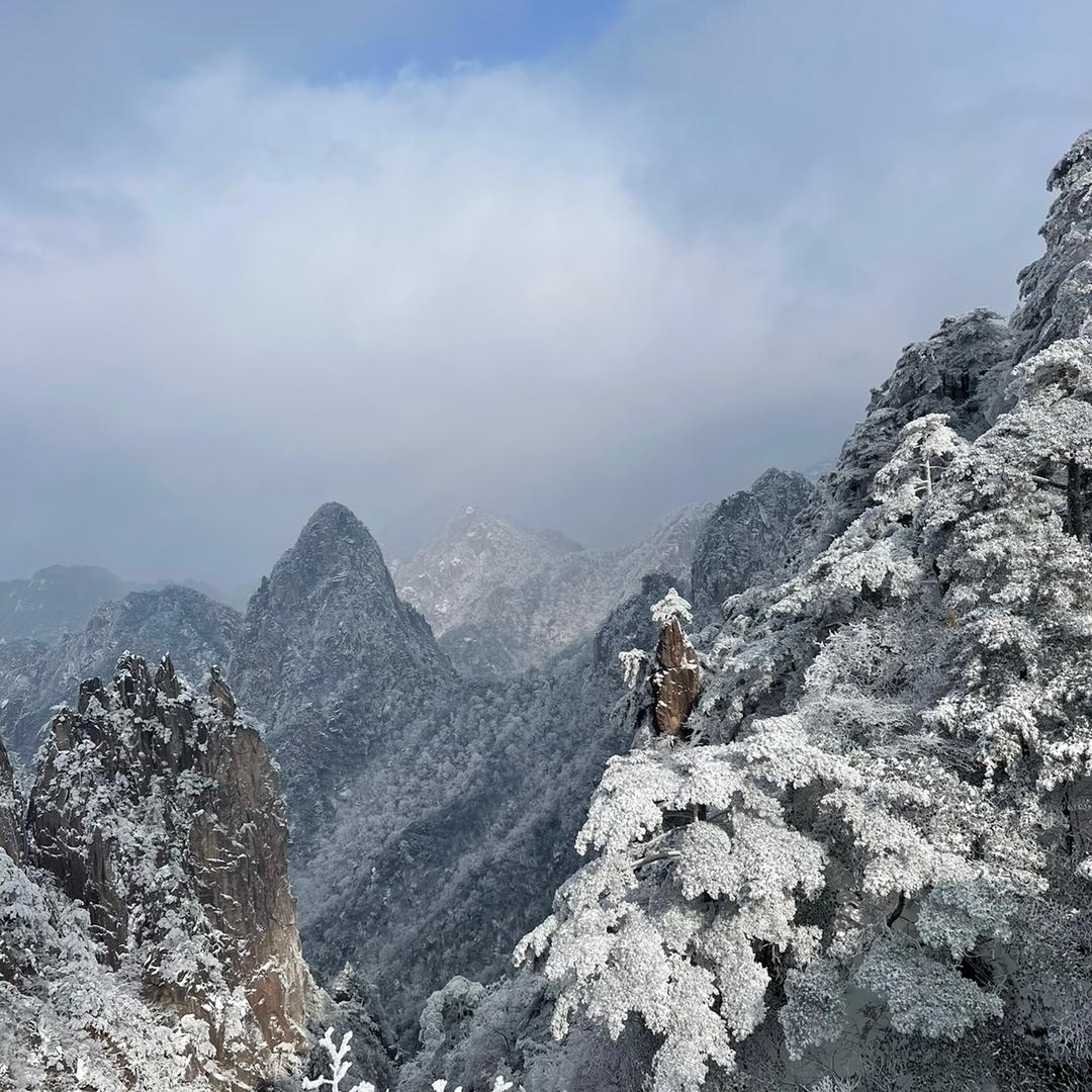 登山羊旗舰店