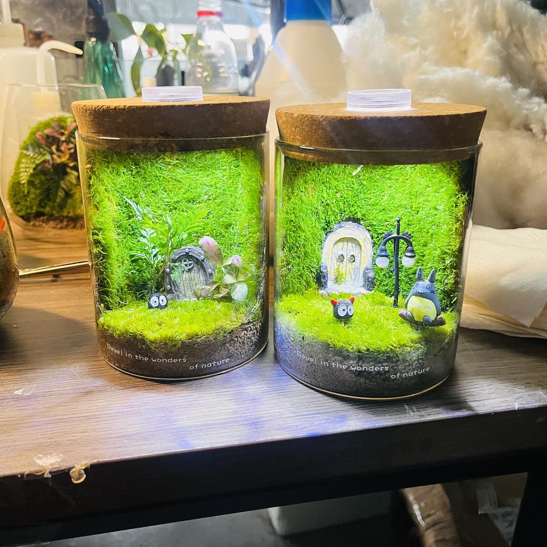 旺森屿微景观小铺