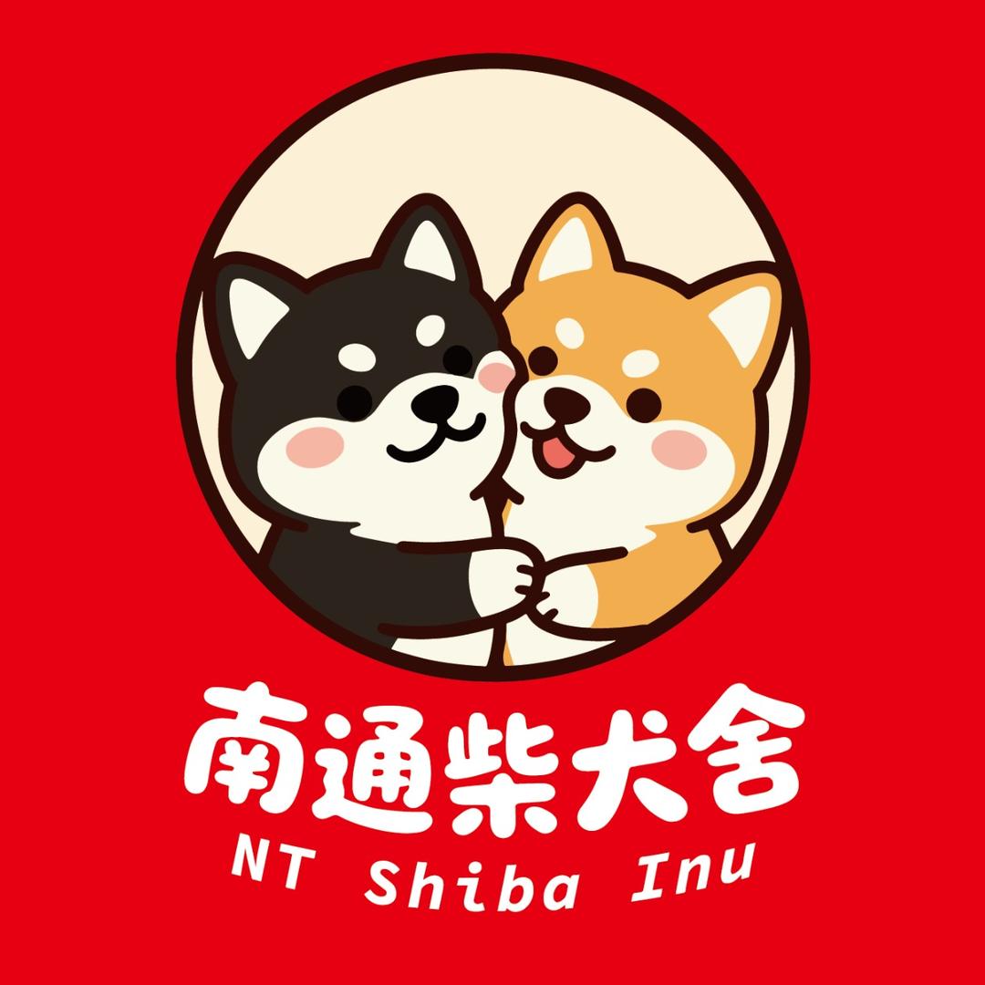 南通精品柴犬（柴犬舍）