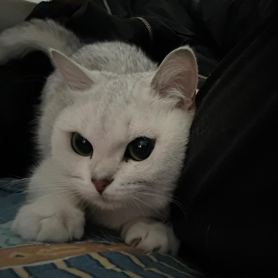 是阿飞啊