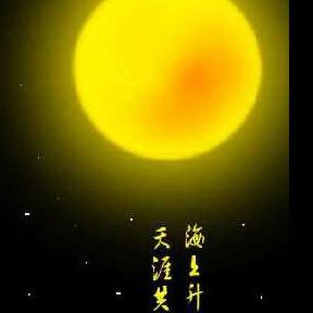 会飞的熊
