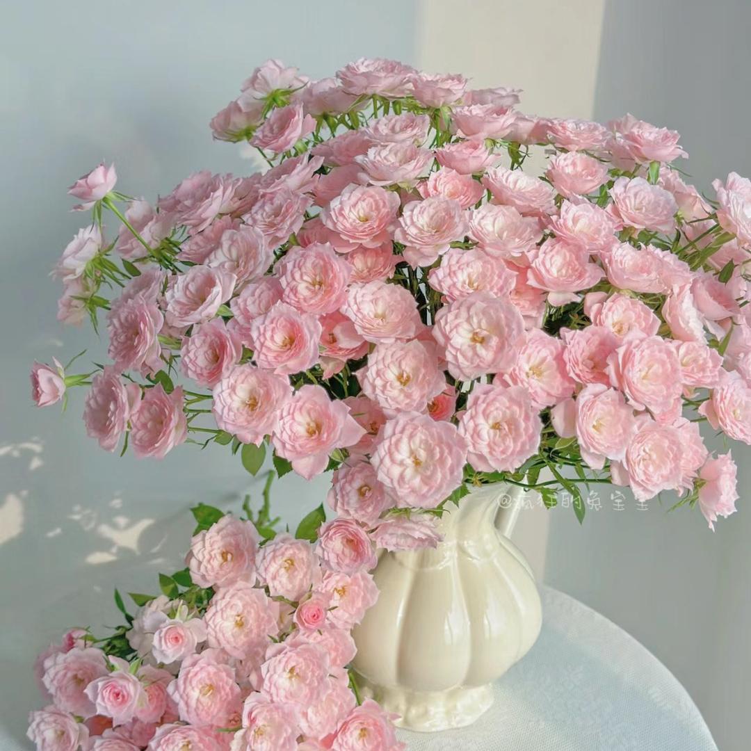 123鲜花线上批发（招主播）
