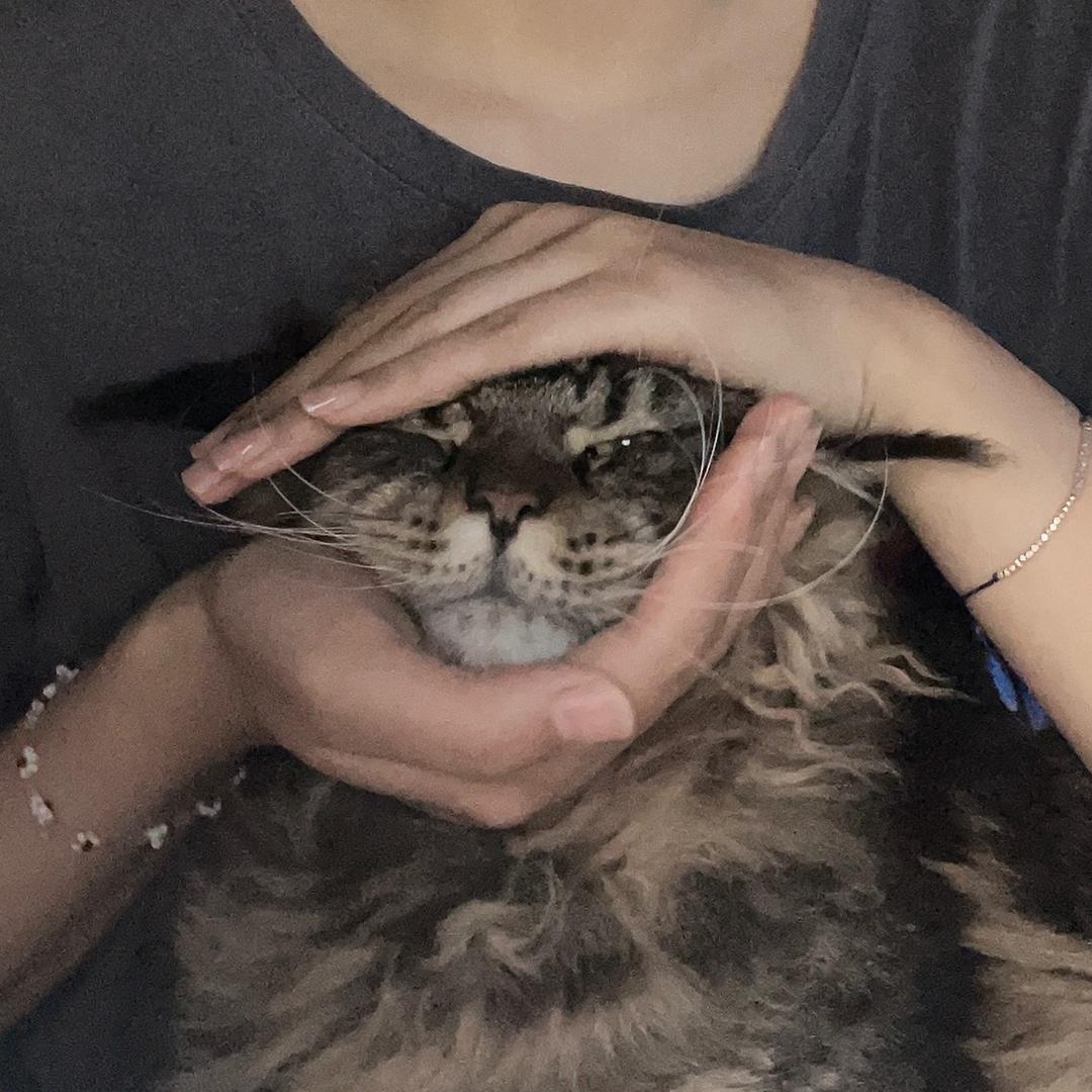 darllll