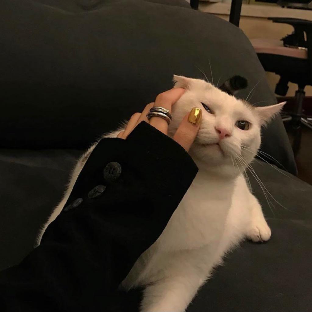 瑜鱼鱼