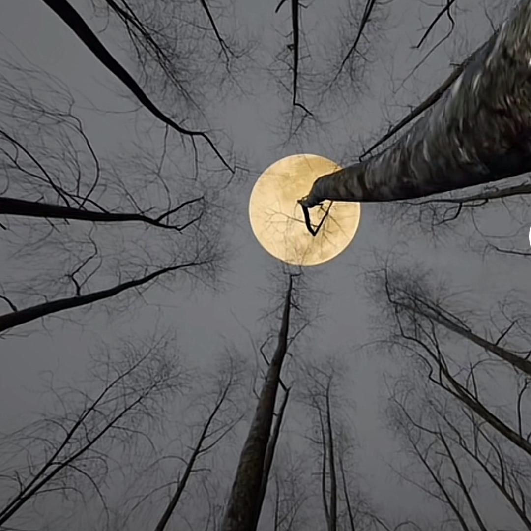 一个荒废的名字