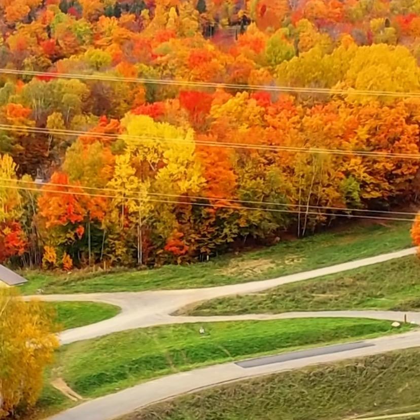 从此君王不早朝