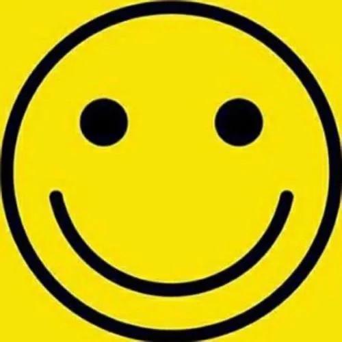 肥鲶鱼               🪳