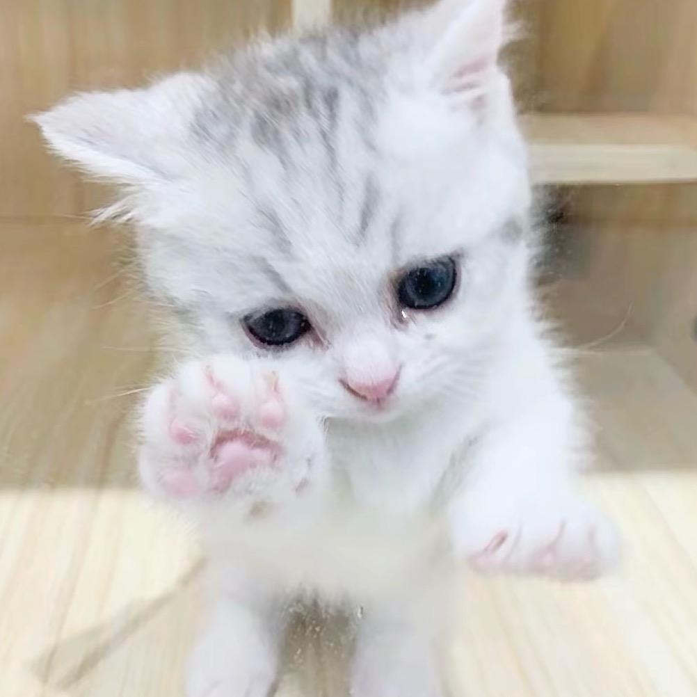 我先睡了（已有闺）