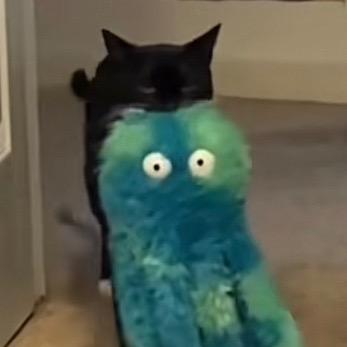 🐈‍⬛ 头上有角咩