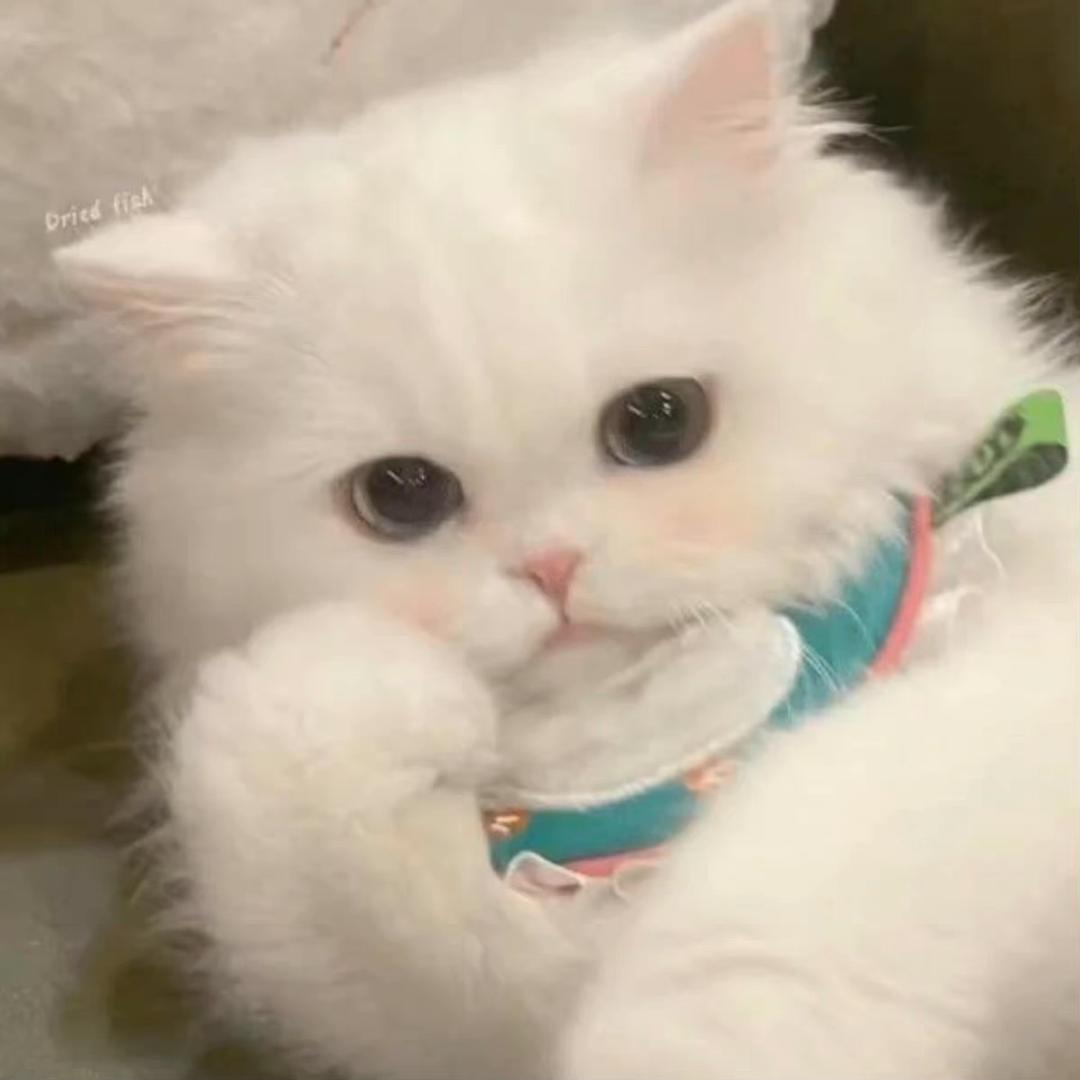 Xiaolu