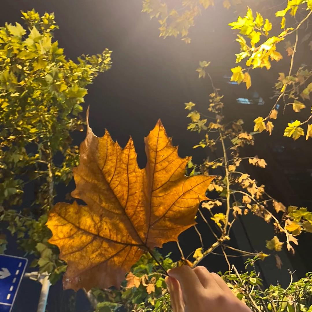不是DJ🎧我不听🥷