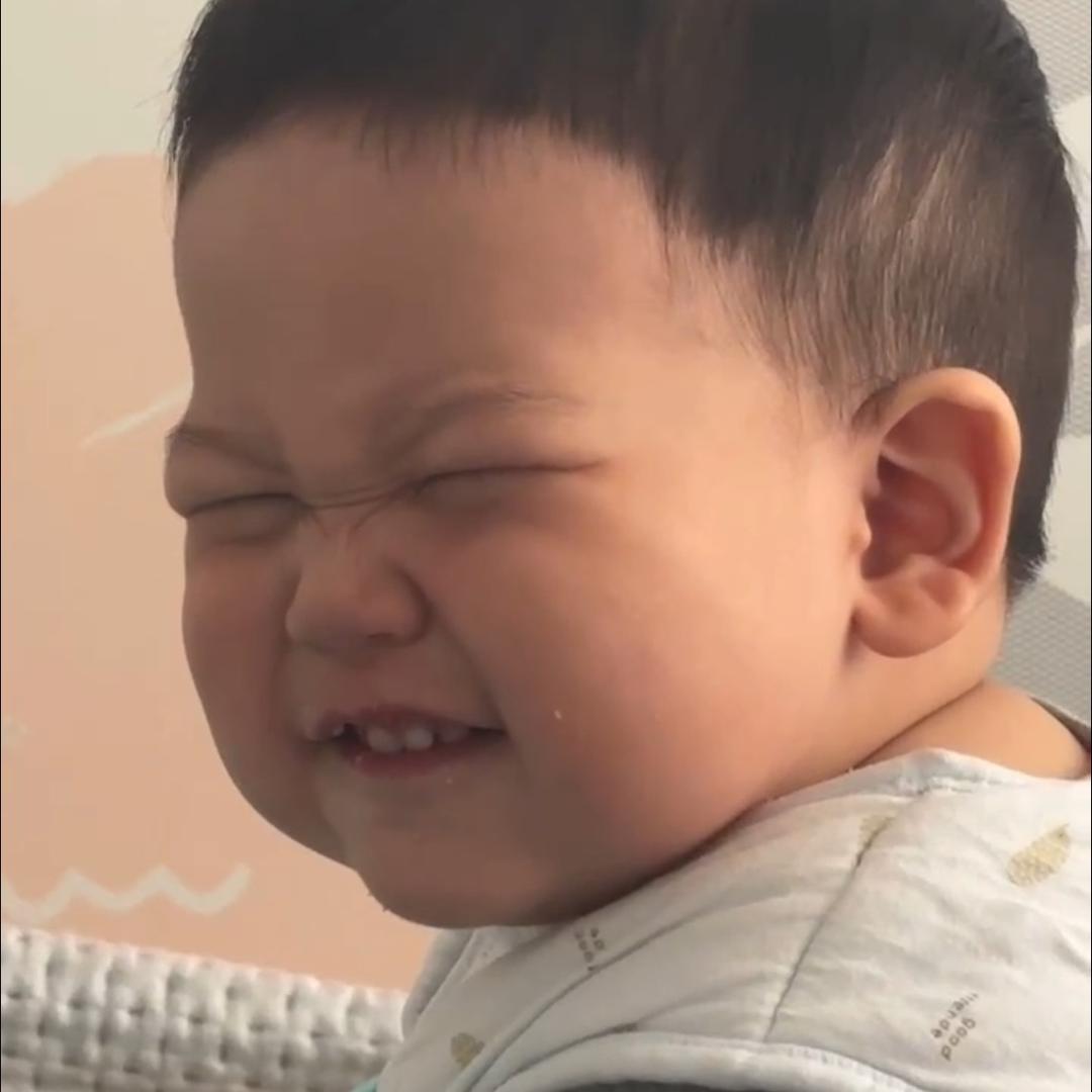 乐辰小崽子