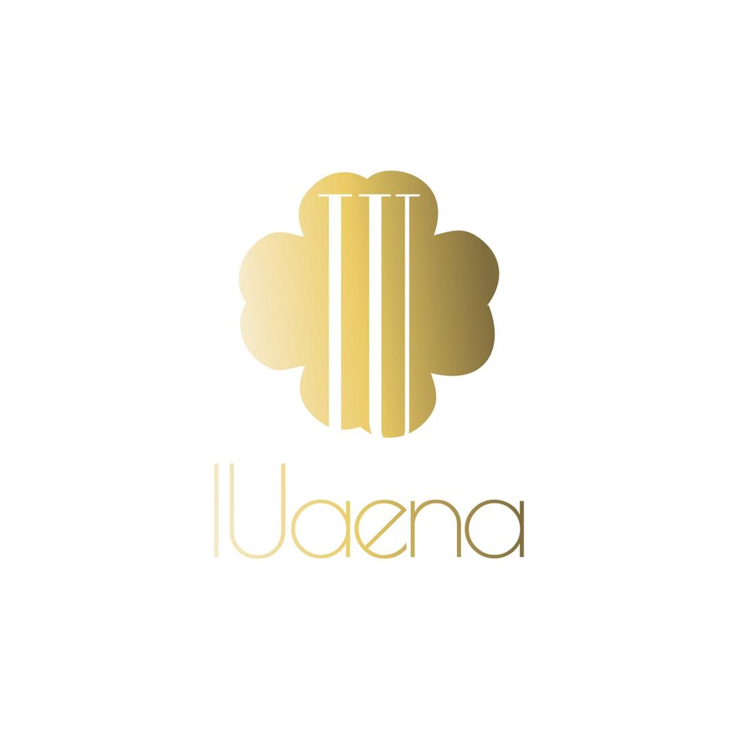 IUaena美容仪旗舰店