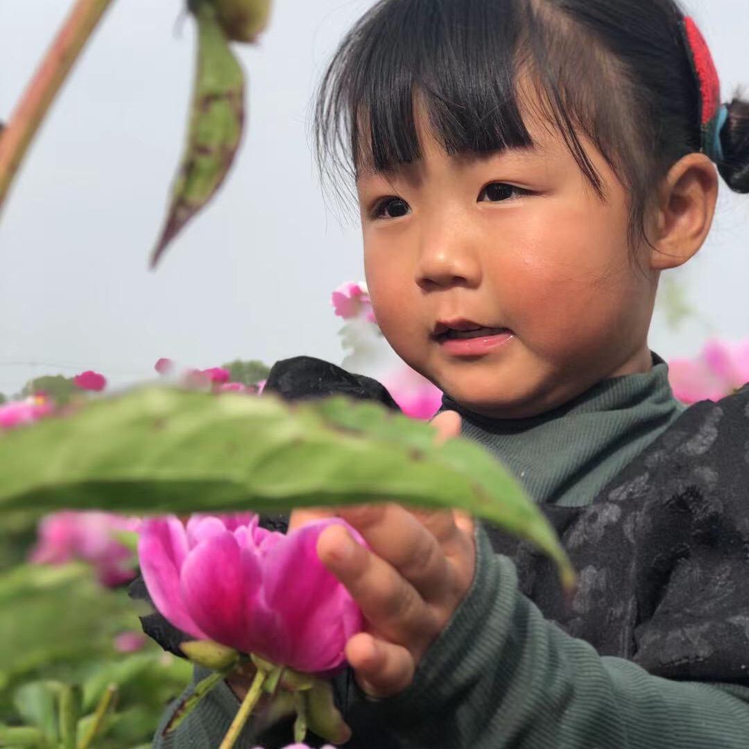 橙子，朱✨✨✨