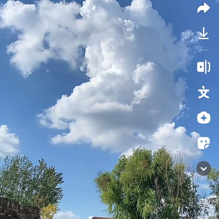 情感语录