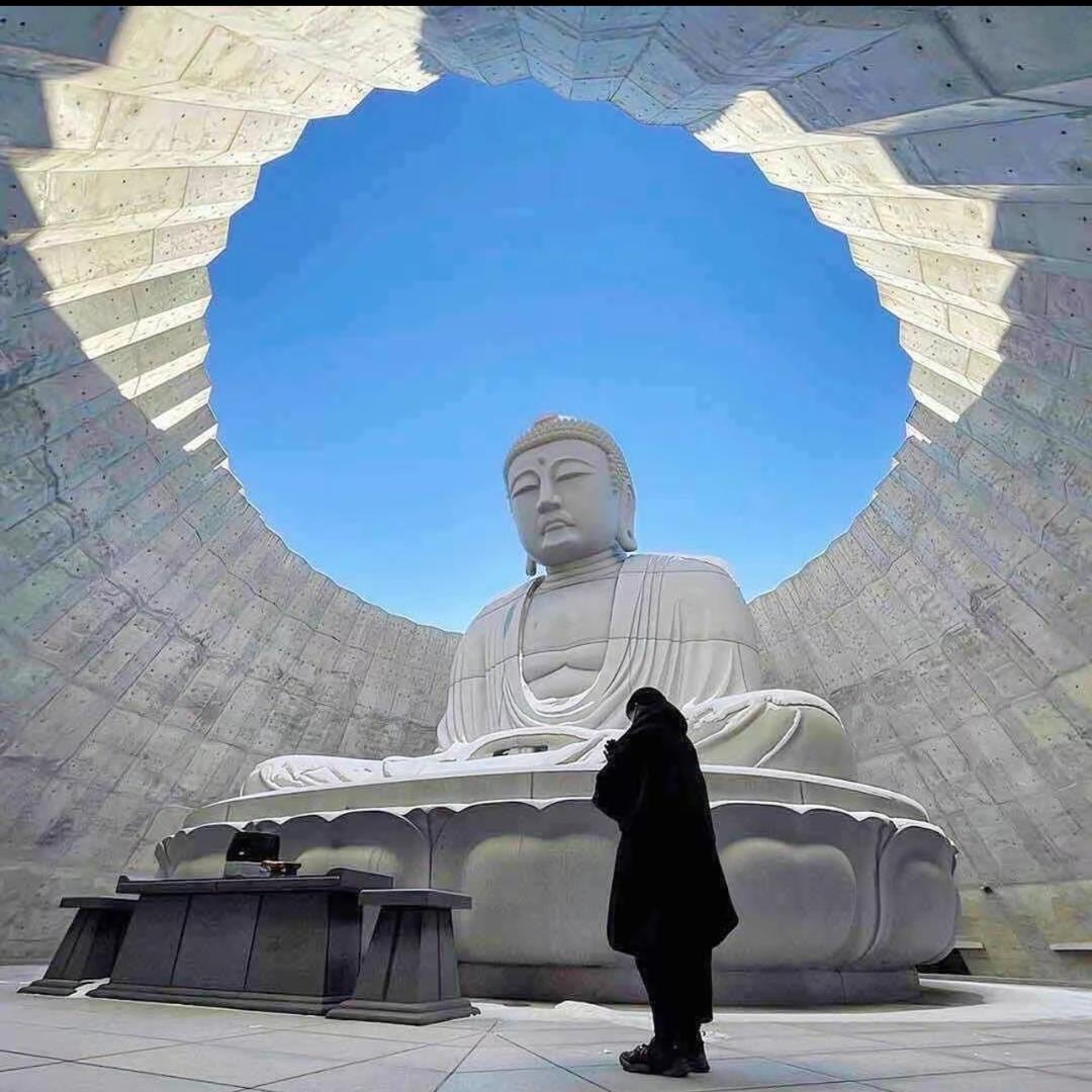 你努力了吗