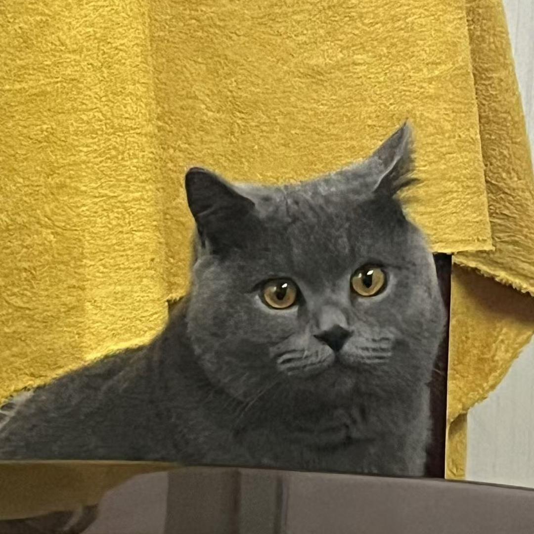 Shhheng