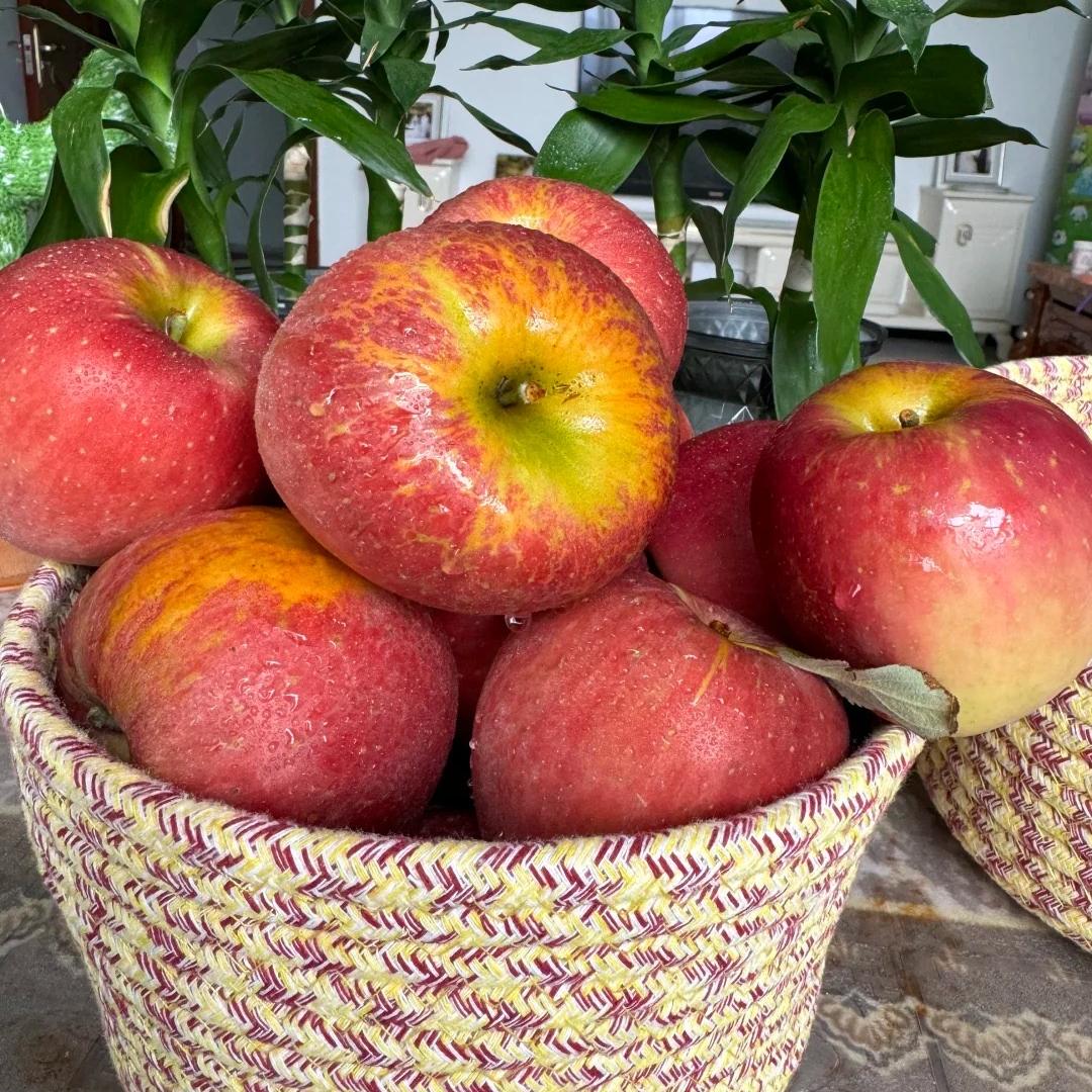 果然有味水果严选