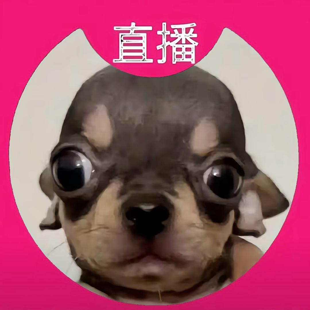 麦当劳大王