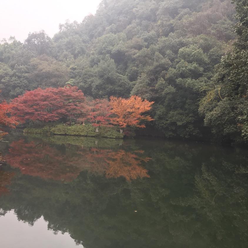 我就是小张