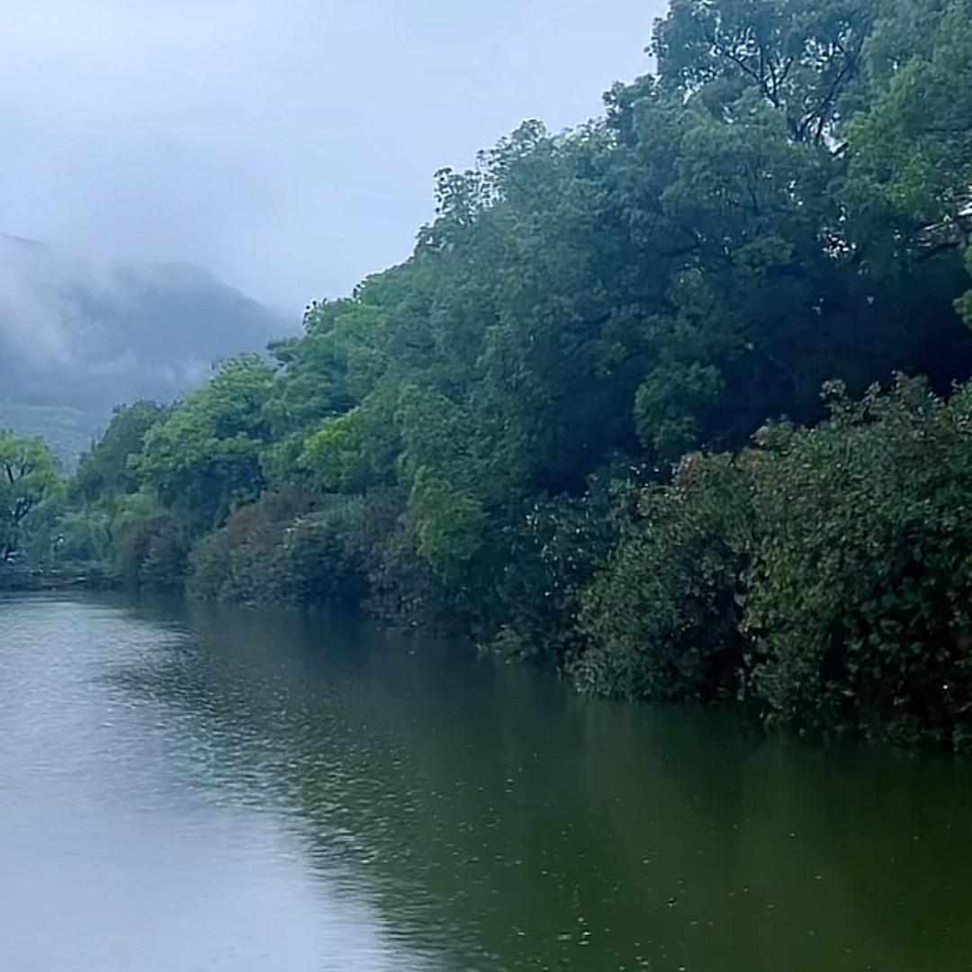 风雨-