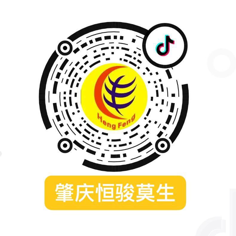 肇庆市恒骏汽车销售有限公司