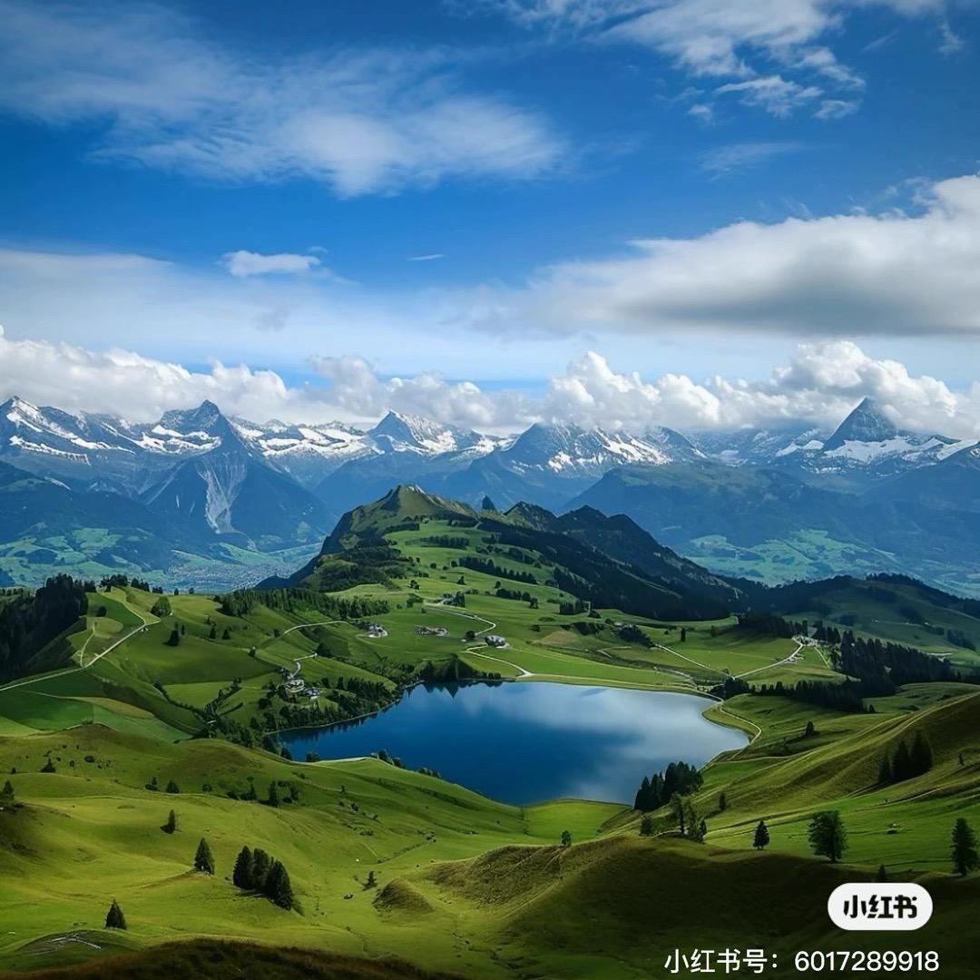 阳光明媚