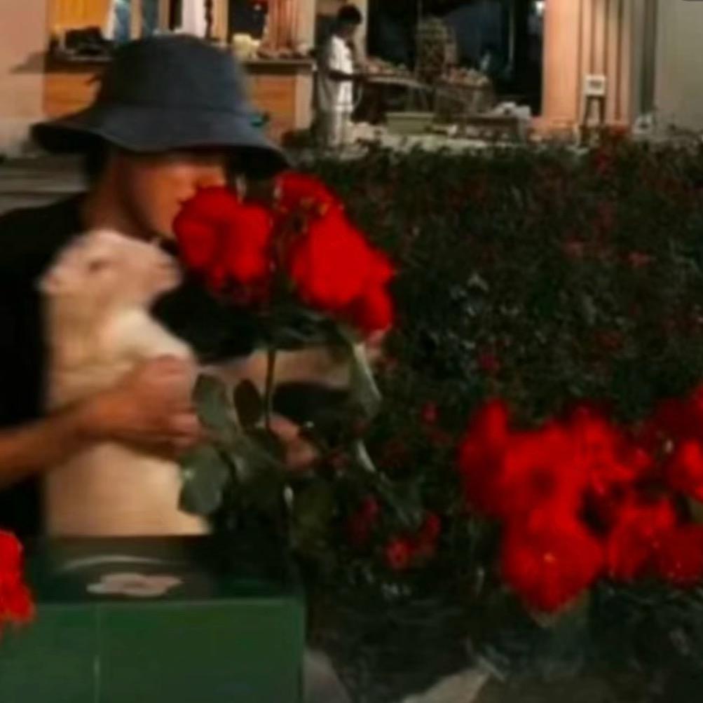 大早上扇羊公主