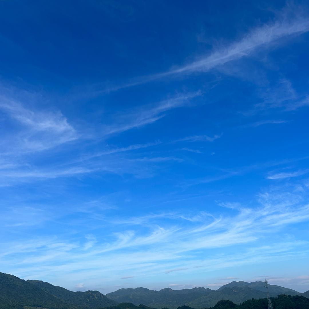 双鱼吖