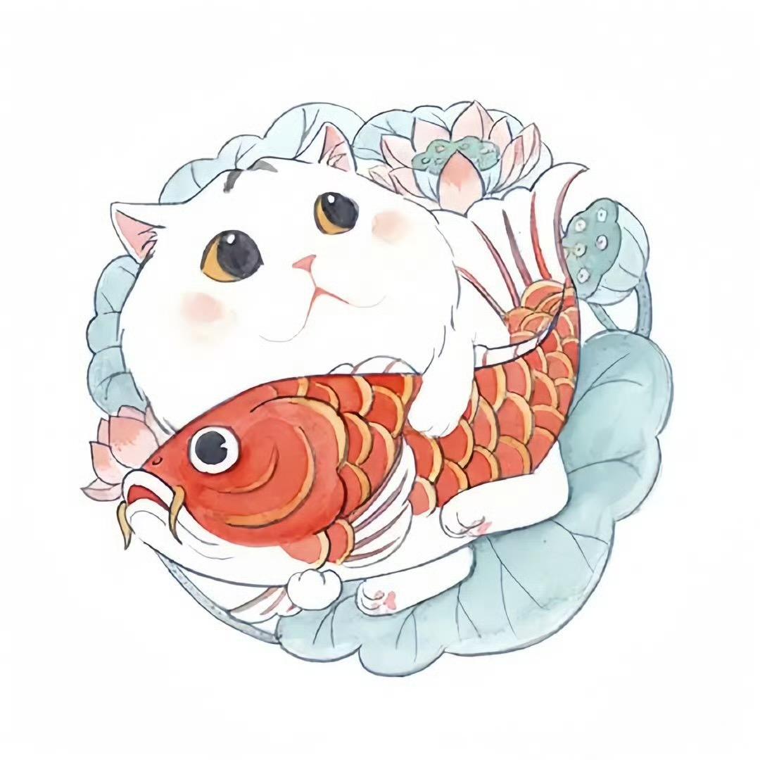 小俊精选好物