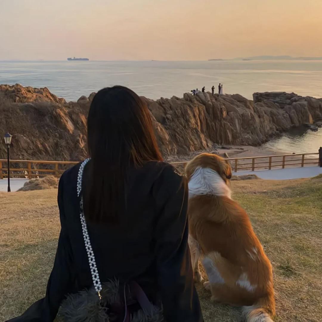 不吃西兰花🥦