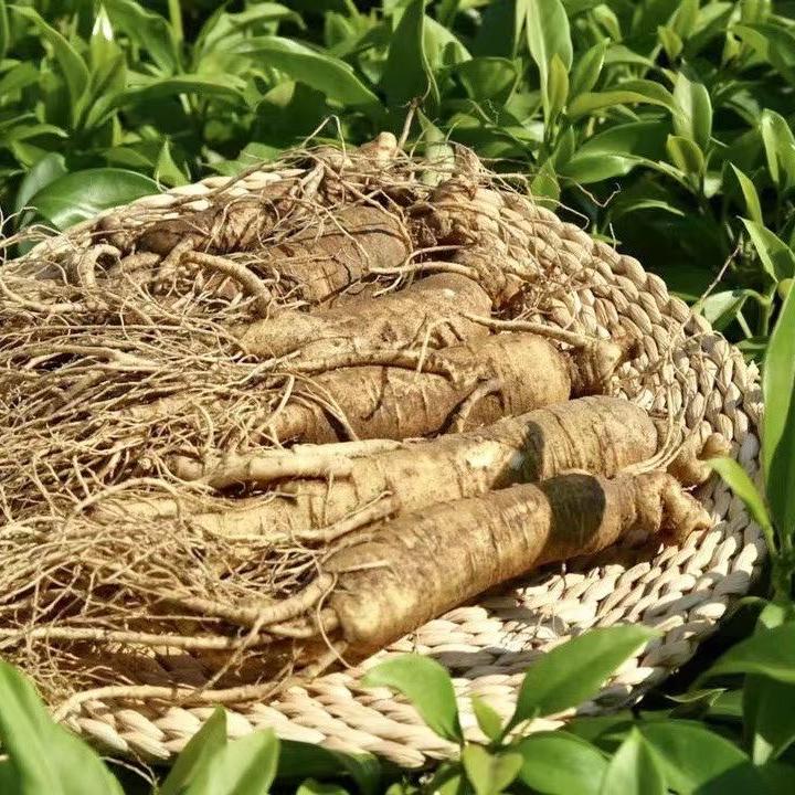 参雅堂特产商行