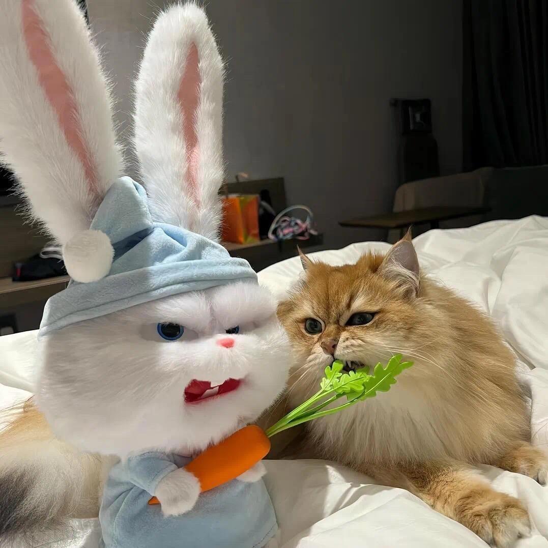 苏微