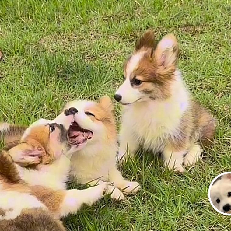 格塘建材店官方号