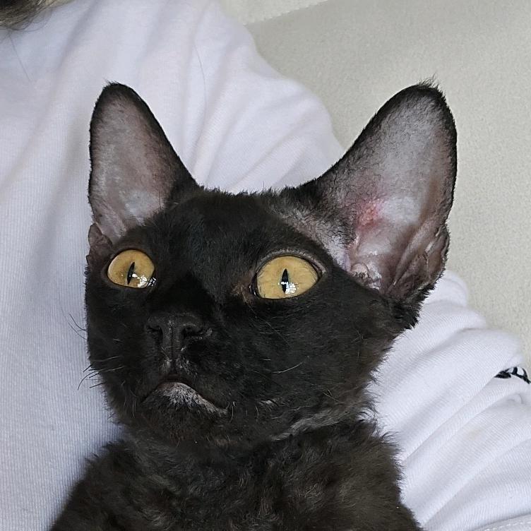 再见容易再见难❤️‍🩹